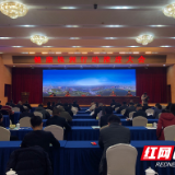 视频丨株洲市召开健康株洲行动推进大会