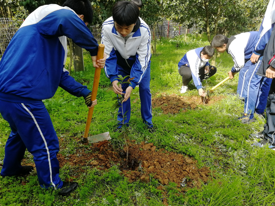 五里墩中学开展植树除草实践活动