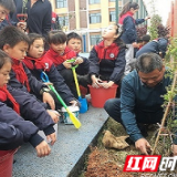 "我为世界增添一抹绿”何家坳枫溪学校开展植树节活动