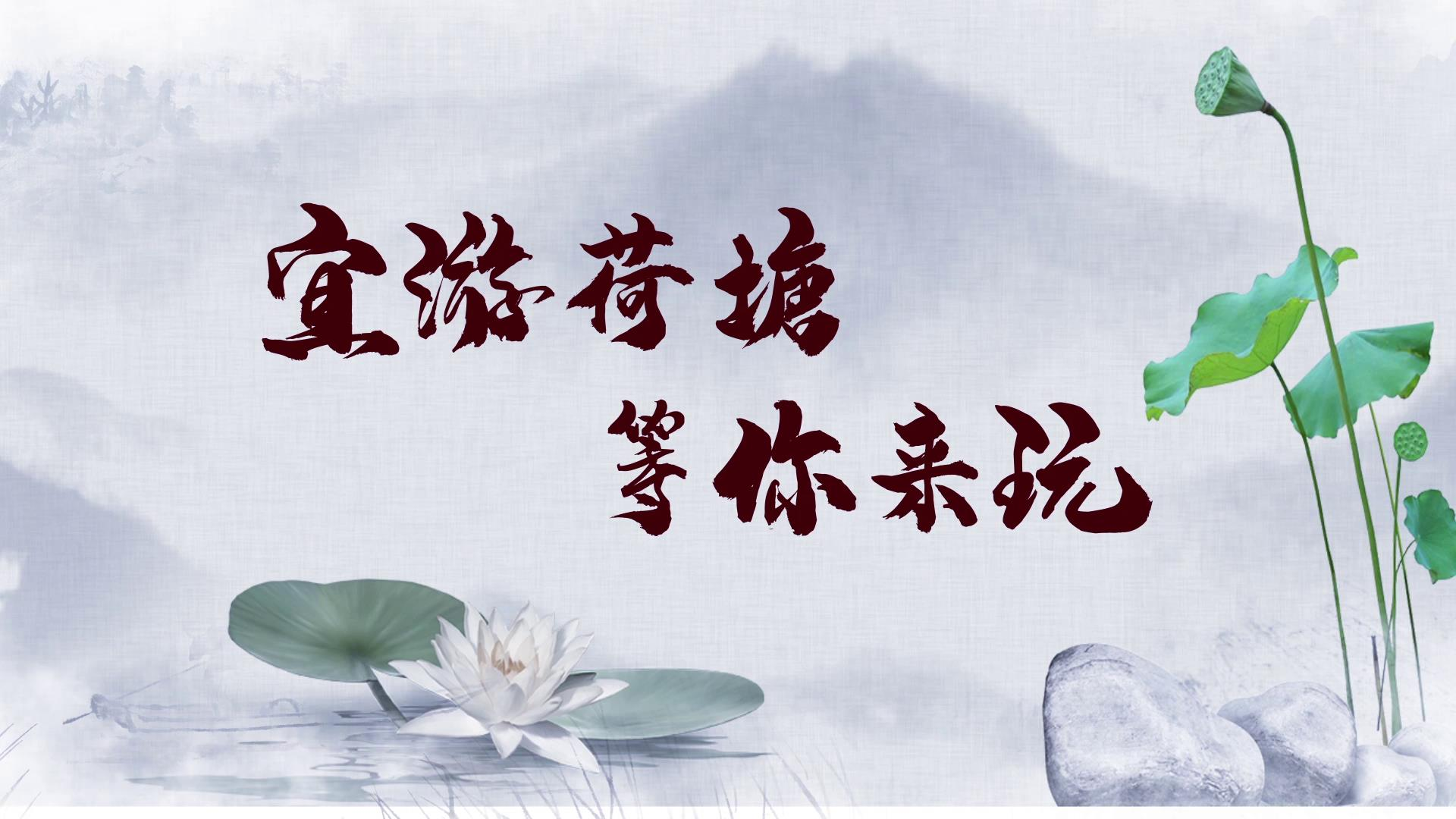 首届株洲旅发大会丨宜游荷塘 等你来玩