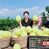 返乡创业典型丨刘卓霞：拓销路育品牌 蜜柚结出“致富果”