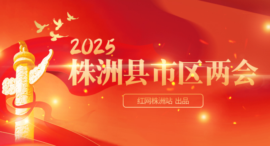 专题丨2025株洲县市区两会