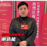 代表委员谈报告丨谢选能：强链、创新、开放、聚力——八个字看株洲发展