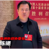 代表委员谈报告丨陈曦：发展“新三样”是株洲诠释新质生产力的有力举措