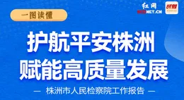 一图读懂丨护航平安株洲 赋能高质量发展——株洲市人民检察院工作报告