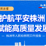 一图读懂丨护航平安株洲 赋能高质量发展——株洲市人民检察院工作报告