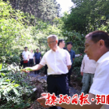 曹慧泉调研炎陵县经济社会发展和班子运行情况
