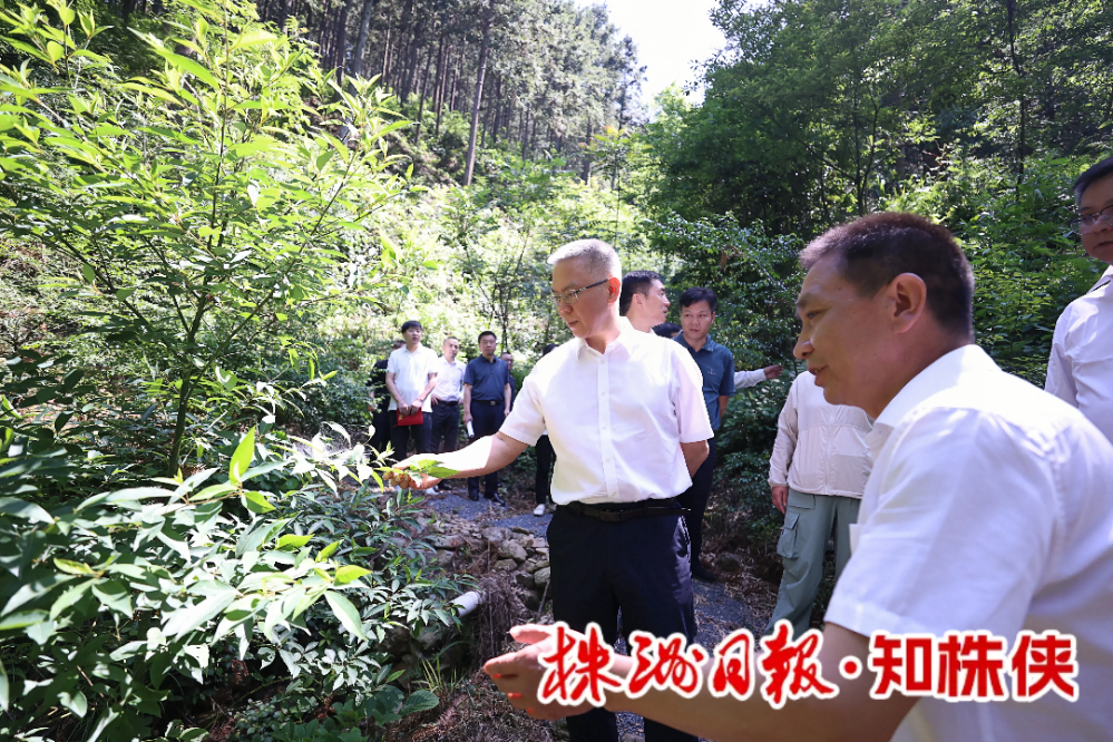 曹慧泉调研炎陵县经济社会发展和班子运行情况