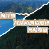 视频丨深呼吸，将茶陵县的治愈绿剪贴收藏