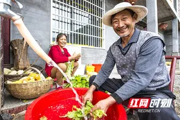 红观株洲丨株洲农村供水让“幸福水”流进千家万户