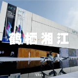 视频丨鹤栖湘江