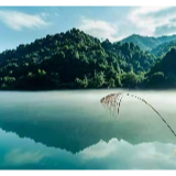 专栏丨胡代松：伊人宛在水中央，蒹葭自是生诗性