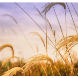 文艺论坛丨王士强：可靠的印痕，或者不可靠的印象——2019年诗歌概览