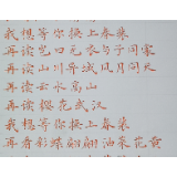 诗朗诵丨林双川 郭晓芳：我想等你换上春装