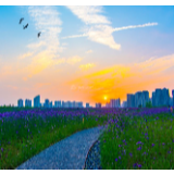 湘江文艺丨丁以绣:等待