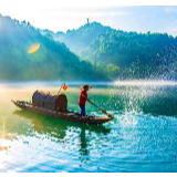 组诗丨敬丹樱：天空纤尘不染，就像鸽子从未飞过