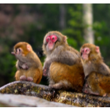 诗歌丨欧阳斌：回答：我为张家界代言