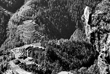 报告文学丨唐湘岳 陈应时：青山留下一首歌