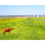 行吟诗刊丨周瑟瑟：我洗脸梳头 按照理学 生活三天
