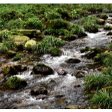 行吟诗刊丨郭辉：金鞭溪