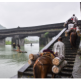 行吟诗刊丨刘笑宇：在苍茫暮色中 涌出一缕思绪