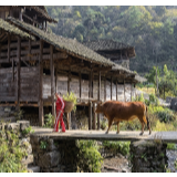 行吟诗刊丨西村：我想用纯朴的民风 替我的诗歌减肥