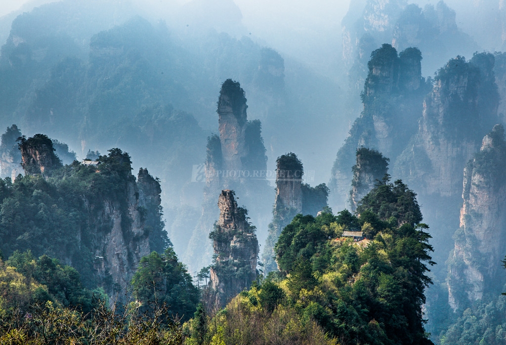 张家界(荷塘月色一).jpg 张家界(荷塘月色一).jpg