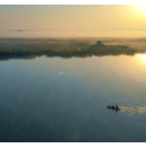 湘江文艺丨石光明：悠悠羡鱼情