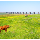 行吟诗刊丨马萧萧:天下之大,何处为佳,何处为家?