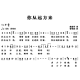 音乐丨《你从远方来》