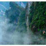 行吟诗刊丨洪小薇：仰望一座山，生出翅膀