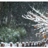 湘江文艺丨廖军:洁白世界的一滴热泪