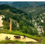 摄影丨旷惠民：《乡村旅游促发展——岜沙四季》