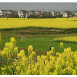 湘江文艺丨冬熠：在乡村与城市之间