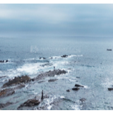 组诗丨李少君：我在一家小旅馆听了一夜风雨