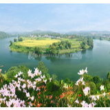 散文丨苏启平：亚洲湖的歌声