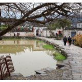 芙蓉·小说丨蒋一谈:猜旅