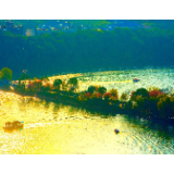 行吟诗刊丨聂沛:风尘仆仆的寻梦人 额角闪烁命运的光芒