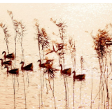 湘江文艺丨蒋人瑞：虚汗淋漓（短篇小说）