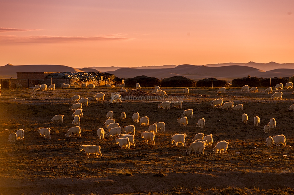 5018042_1444828348pqbw.jpg 5018042_1444828348pqbw.jpg