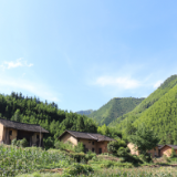 剧评丨唐文君:一部时代好剧——《江山如此多娇》