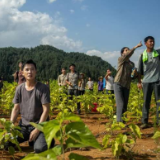 如何让贫困山区“破圈出道”?不妨看看《江山如此多娇》的濮泉生