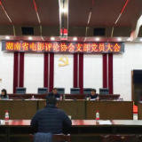 湖南省电影评论协会召开支部党员大会暨2021年工作会议