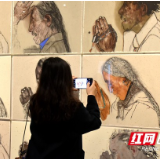 来自内蒙古的他 有幸观看到了第二届“湖南·中国画双年展”