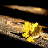 散文丨杨清茨:行尽逆境扫闲愁