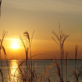 散文丨侯志锋:汨罗江畔觅屈原