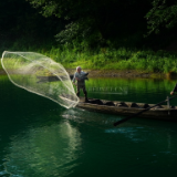 诗歌丨蔡少玲:时间加快步伐 追逐小溪里的月色