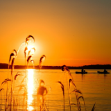 湘江文艺丨湛鹤霞：念白骥