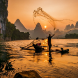 诗词丨曾江保:天涯犹记归鸿意,任是深秋花亦红