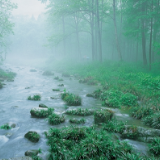 “大爱张家界”诗赛选登丨水滴 在一日一日溅落中 拓印出南北天堑
